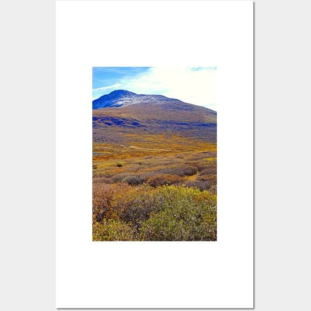 Mount Bierstadt in Autumn Wall Art by bobmeyers